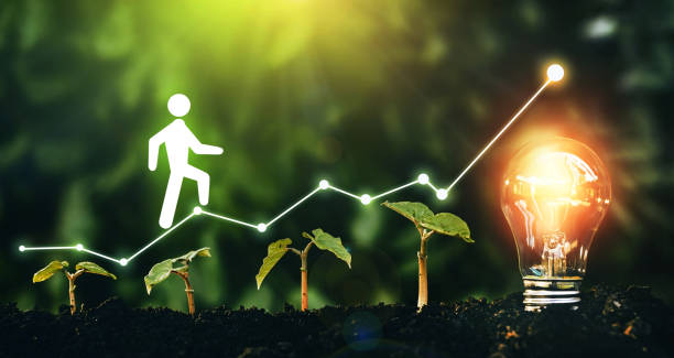 Erfolgsfaktoren für nachhaltiges Unternehmenswachstum